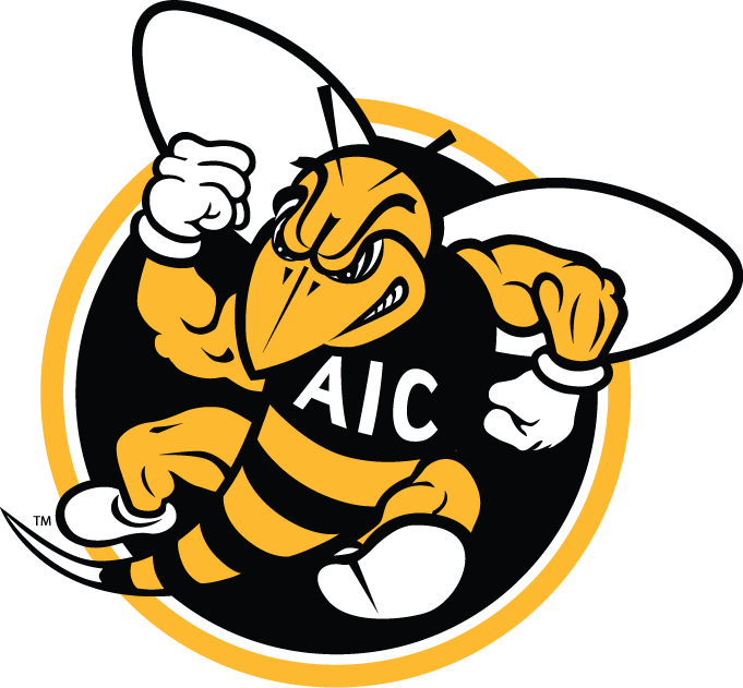 AIC Yellow Jackets 2009-Pres Alternate Logo v2 diy iron on heat transfer